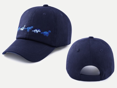 Car Embroidered stripe cap