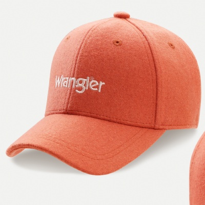 Embroidered logo fleece cap