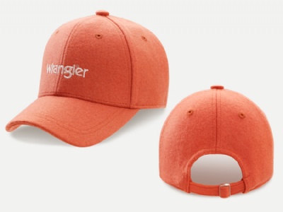 Embroidered logo fleece cap