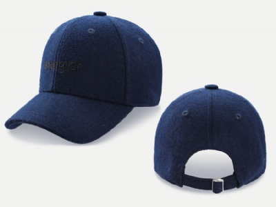 Embroidered logo fleece cap