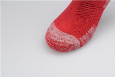 Women solid crew socks